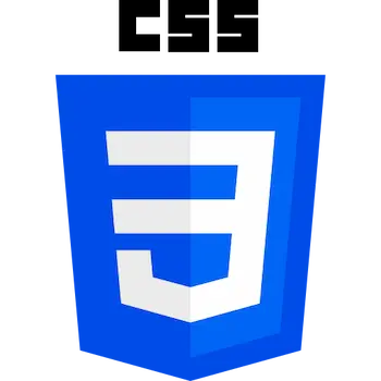 CSS Logo